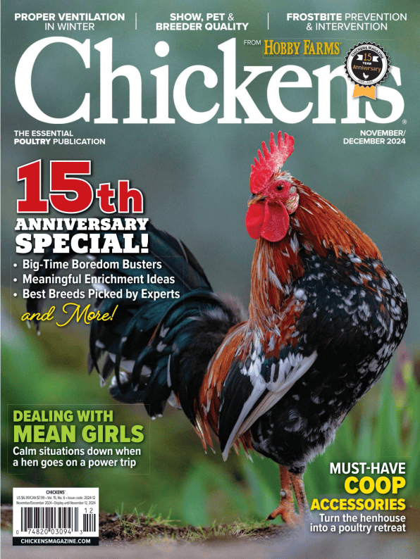 Chickens cover image cdn