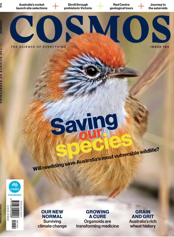 Cosmos cover image cdn