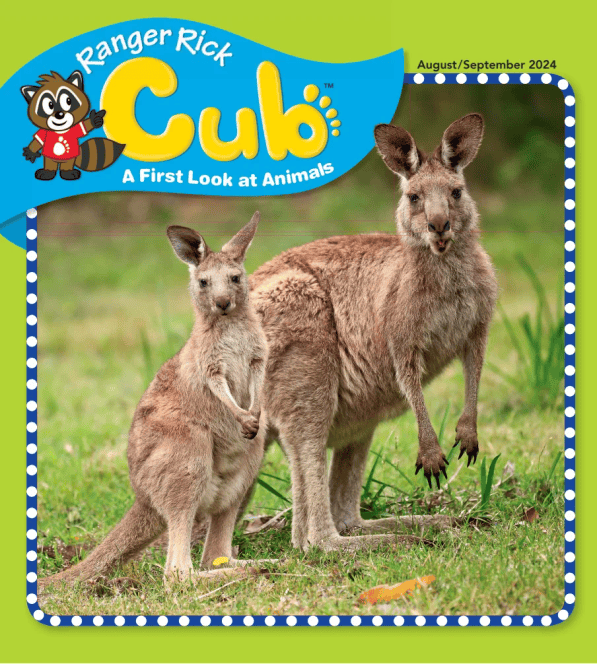 Ranger Rick Cub cover image cdn
