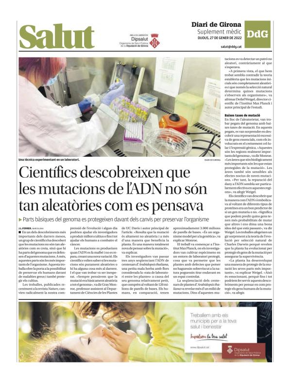 Salut cover image cdn