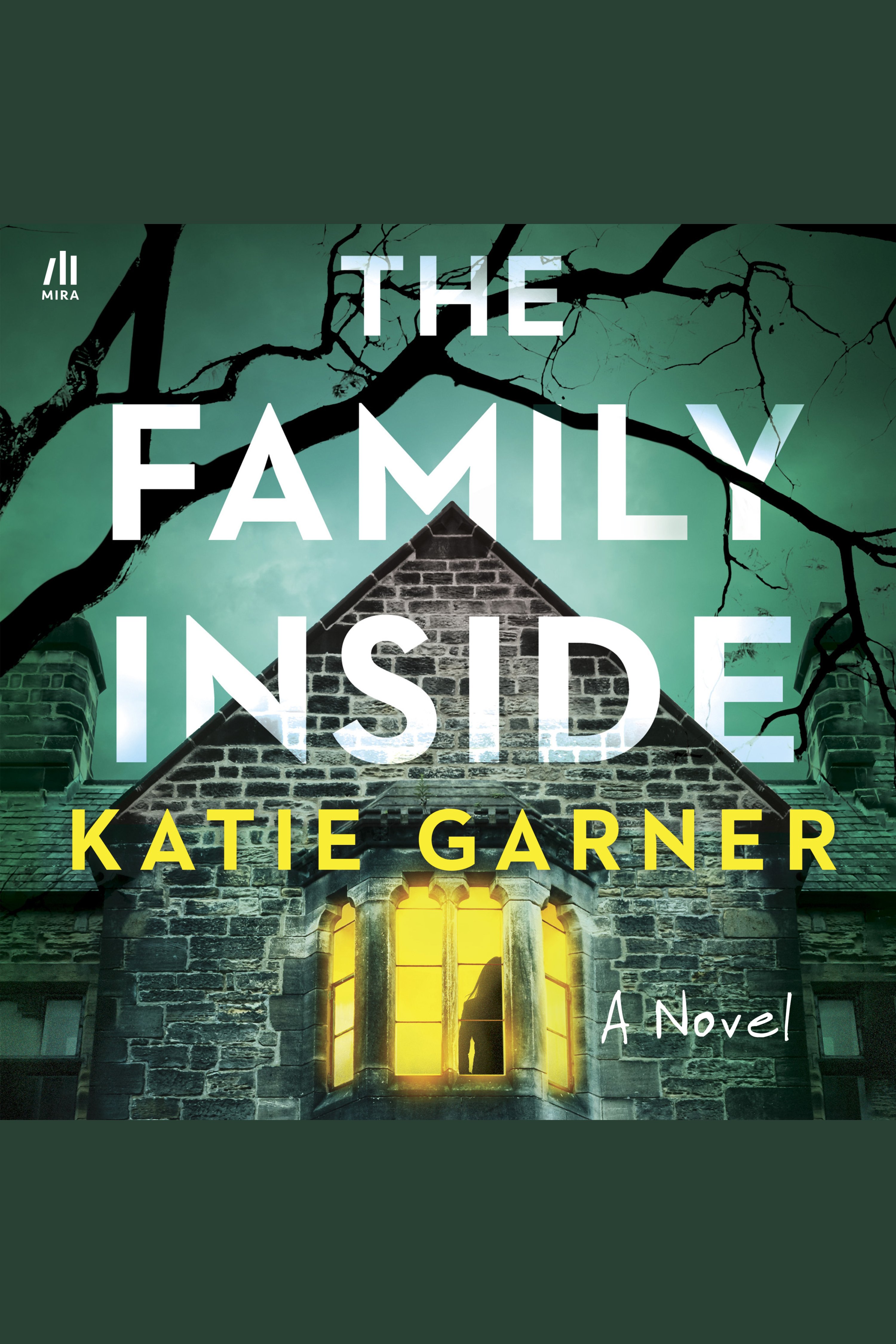 The Family Inside cover image cdn