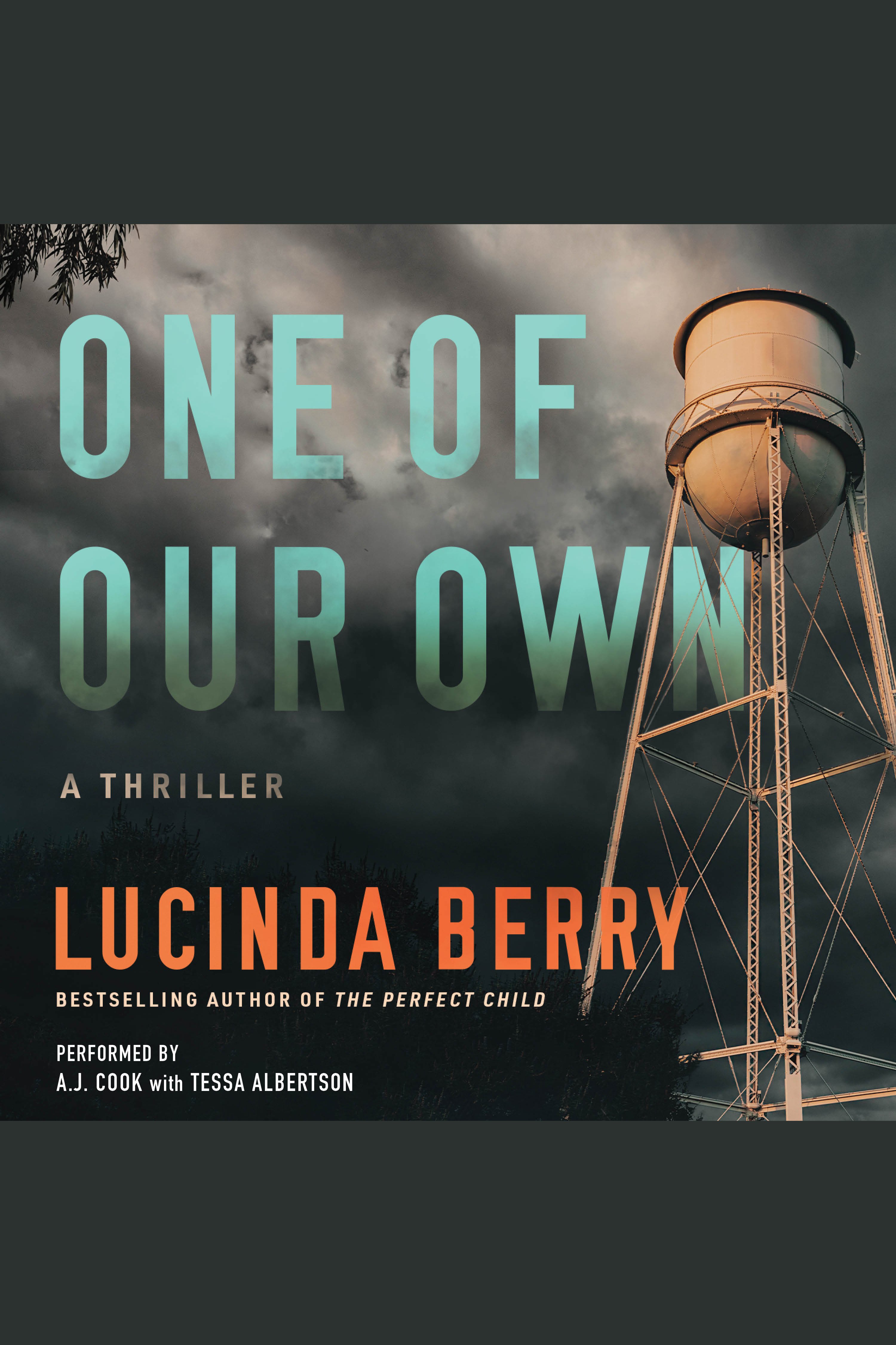 One of Our Own An Audio Original Thriller cover image cdn