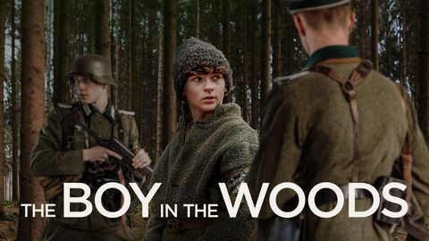 The Boy in the Woods cover image cdn