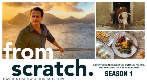 From Scratch: S1 cover image cdn