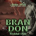 Brandon : Prickelnde Ruhe, Band 3. Secret Desire (German) cover image cdn