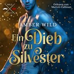 Ein Dieb Zu Silvester : Humorvolle Gay Romance Zu Weihnachten cover image cdn
