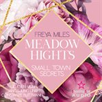 Meadow Hights : Small Town Secrets. New York Gentlemen (German) cover image cdn