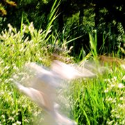 Be My Forever cover image cdn