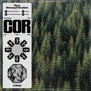 Birdsongs In Woodland cover image cdn