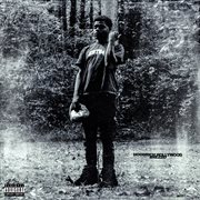 Hoodrich Hollywood cover image cdn