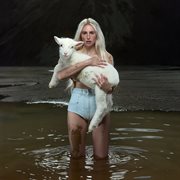 PALPITATIONS cover image cdn