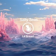 Salty Seas cover image cdn