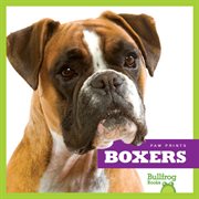 Boxers cover image cdn