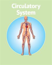 Human Body Circulatory System cover image cdn
