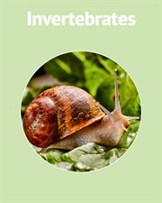 Invertebrates cover image cdn