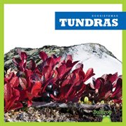Tundras cover image cdn