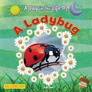 A Ladybug cover image cdn