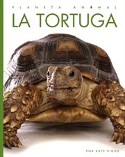 La Tortuga cover image cdn