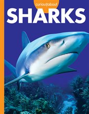 Curious About Sharks cover image cdn