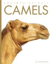 Camels cover image cdn