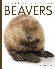 Beavers cover image cdn