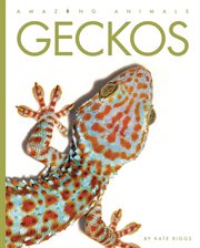 Geckos cover image cdn