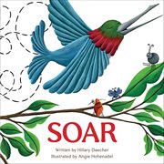 Soar cover image cdn