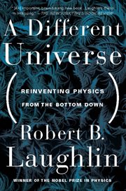 A Different Universe : Reinventing Physics From the Bottom Down cover image cdn