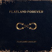 Flatland Forever cover image cdn