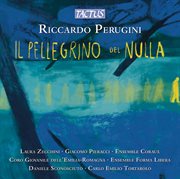 Perugini: Il Pellegrino Del Nulla cover image cdn