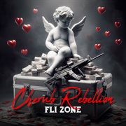 Cherub Rebellion cover image cdn