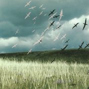 Can We Share? cover image cdn