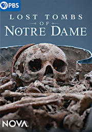 Lost tombs of Notre Dame cover image cdn