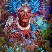 Organic Intelligence Regenerated cover image cdn