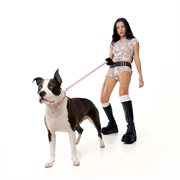 Cute Threat cover image cdn