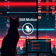 Still Motion cover image cdn