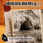Der Schrei Der Banshee, Episode 1 cover image cdn