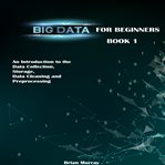 Big Data for Beginners cover image cdn
