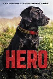 Hero cover image cdn