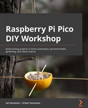 Raspberry Pi Pico Diy Workshop cover image cdn