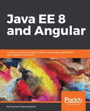 Java Ee 8 and Angular cover image cdn