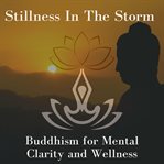 Stillness in the Storm cover image cdn