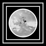 Only Here for the Summer cover image cdn