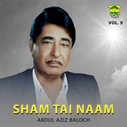 Sham Tai Naam, Vol. 9 cover image cdn