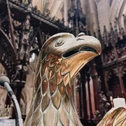 November cover image cdn