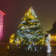 December cover image cdn