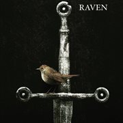 Solstice cover image cdn