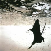 Swimmer cover image cdn