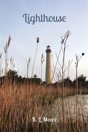 Lighthouse cover image cdn