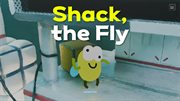 Shack, the Fly cover image cdn